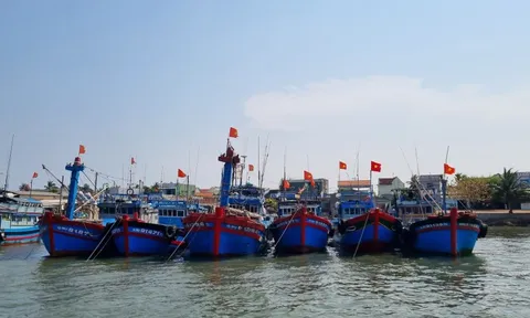 Quảng Ngãi giám sát chặt chẽ tàu cá có nguy cơ cao vi phạm khai thác IUU