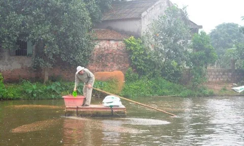Anh nông dân thu lãi gần 1 tỷ đồng/năm nhờ nuôi con thích "di chuyển bằng bụng"