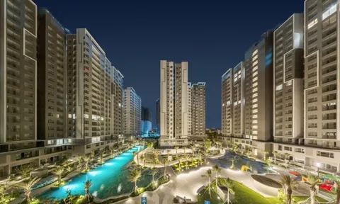 An Gia (AGG) đưa nợ trái phiếu về 0, sẵn sàng cho các kế hoạch lớn
