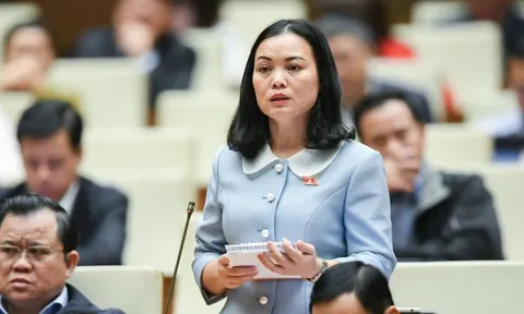 ĐBQH kiến nghị đưa kinh doanh hàng không "quay về bản chất thực"