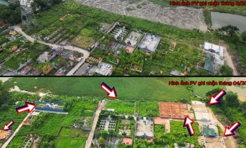Hà Nội: UBND xã Kim Chung nhận trách nhiệm vụ đất công bị lấn chiếm