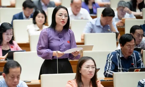 Đại biểu Quốc hội: Cần có giải pháp cho bài toán nguồn nhân lực cho công tác lưu trữ