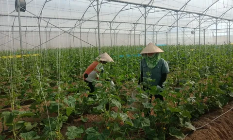 Bắc Giang phát triển nông nghiệp gắn với thế mạnh đặc trưng