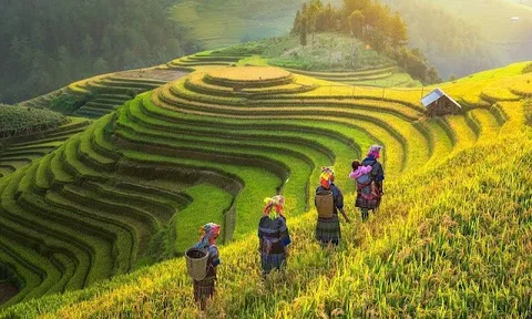 Quy hoạch vùng Trung du và miền núi phía bắc: Bản sắc-sinh thái-liên kết-hạnh phúc