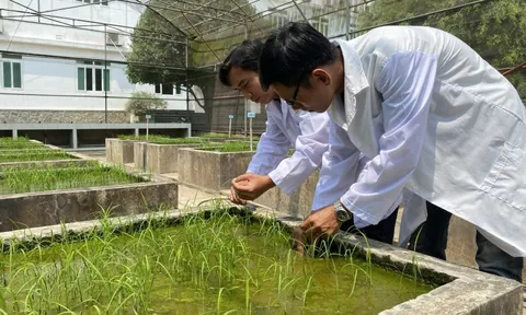 Mở cửa thị trường nông sản còn nhiều khó khăn