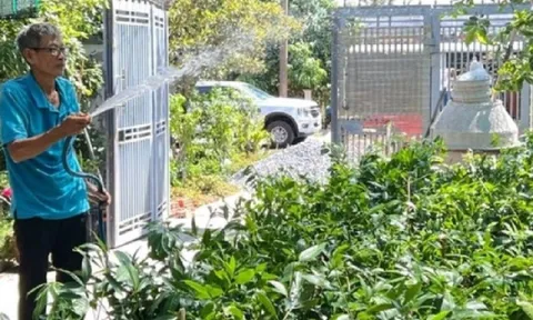 Lão nông bỏ túi hàng trăm triệu nhờ trồng thứ quả “lạ” có vị ngọt ngào