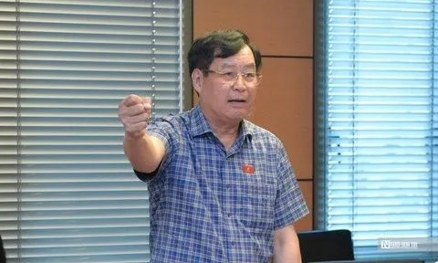 ĐBQH Trần Công Phàn: "Có loại dao rất ngắn nhưng lại gây sát thương"