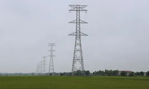 Hoàn thành gói thầu dựng cột đầu tiên dự án đường dây 500kV mạch 3 cung đoạn NMNĐ Nam Định I – Phố Nối