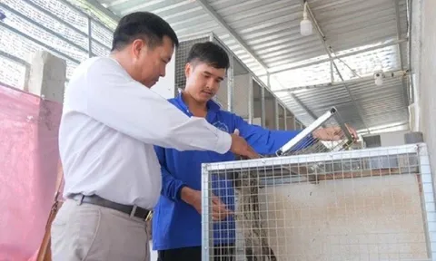 Anh nông dân kiếm 100 triệu/tháng nhờ nuôi con “thích ăn chuối, ham ăn cá đồng”