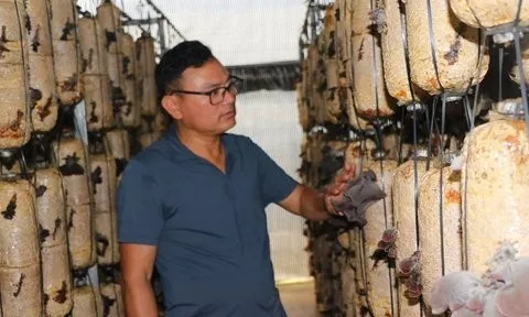 Anh nông dân học "lỏm" công nghệ trồng một loại cây thu gần nửa tỷ/năm