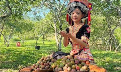 Phát huy nội lực của đồng bào dân tộc thiểu số để giảm nghèo bền vững (1)