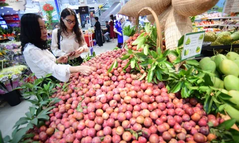 Saigon Co.op khai mạc lễ hội mận hậu và nông sản tỉnh Sơn La