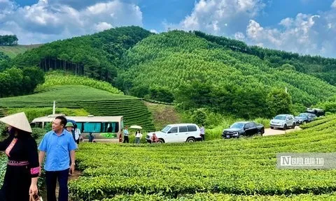 Lạng Sơn: Nỗ lực "khoác áo mới" cho phát triển du lịch huyện Đình Lập
