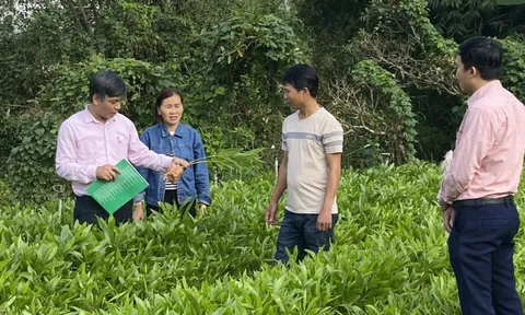 Đồng vốn nhân văn trên quê hương Ba Tơ anh hùng