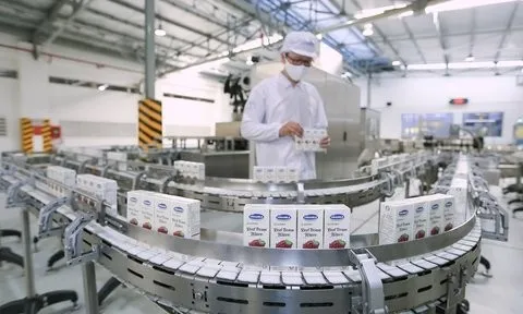 Doanh nghiệp ngành sữa “thấm mệt" ngay trong quý đầu năm 2024