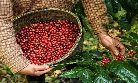 Xuất khẩu tiếp đà tăng trưởng cao