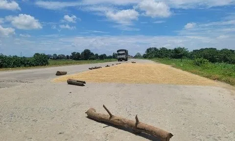 Nguy hiểm khi người dân mang gỗ, gạch, đá … ra chặn đường làm sân phơi lúa