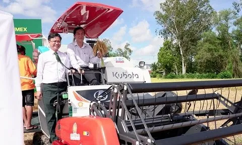 Angimex bán toàn bộ vốn tại công ty con chuyên mảng dịch vụ trồng trọt
