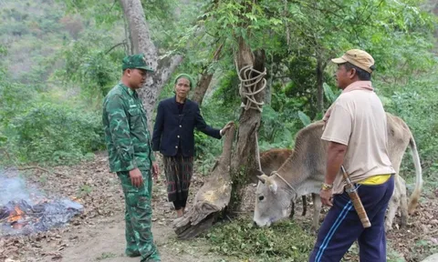 Phát huy nội lực của đồng bào dân tộc thiểu số để giảm nghèo bền vững (2)