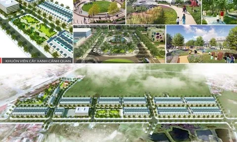 Khu đô thị của Công ty Xây dựng Thành Đô Bắc Giang bị đình chỉ