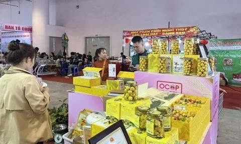 Quảng Ninh: Tổ chức cuộc thi sáng tạo bao bì, nhãn hàng hóa OCOP