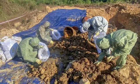 Xử lý triệt để chất độc hóa học tồn lưu sau chiến tranh tại đèo Cù Mông