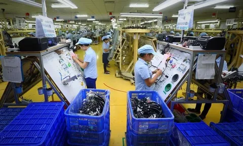 Việt Nam được ví là “ngôi sao đang lên của Ấn Độ Dương-Thái Bình Dương“