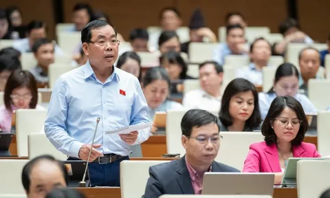 Cần chính sách thúc đẩy mạnh mẽ công nghiệp chế biến, chế tạo