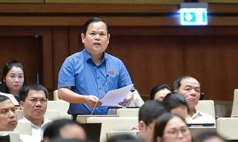 Cần thiết xây dựng hệ thống cảng biển nước sâu cho vùng ĐBSCL