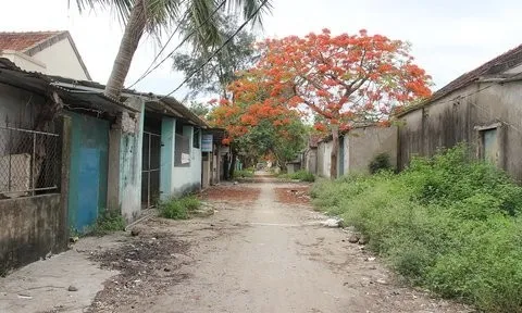 Hoang tàn ở “phố đèn đỏ” sau chiến dịch triệt xoá mại dâm