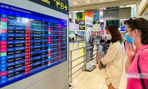Đề nghị Bộ GTVT trả lời việc giá vé máy bay tăng cao do nhiều loại phí