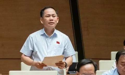 ĐBQH nêu bất cập trong triển khai chương trình GDPT 2018