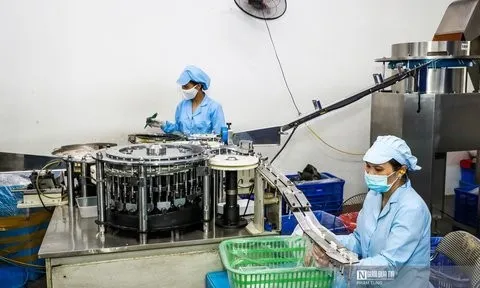 Cần đánh giá đầy đủ hơn về sức khỏe doanh nghiệp, nhất là khối tư nhân