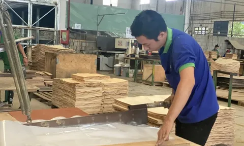 Xuất khẩu nông sản tiếp tục tăng trên 11%