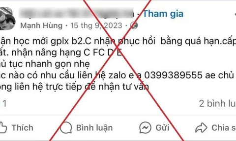 Khởi tố đối tượng lừa đảo cấp đổi giấy phép lái xe qua mạng