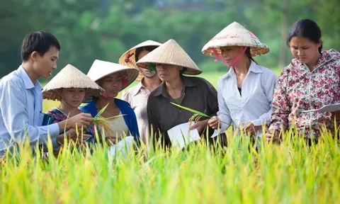 Công bố Báo cáo về Chương trình 'Khung Quản lý thuốc BVTV bền vững'