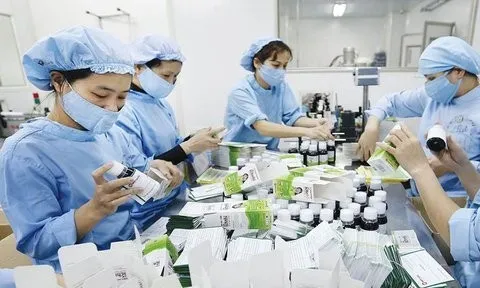 Các doanh nghiệp dược mạnh tay chi trả cổ tức "khủng" cho cổ đông