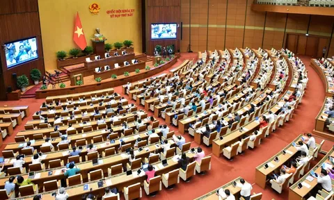 Tiếp tục đẩy mạnh Chiến lược quốc gia về bình đẳng giới