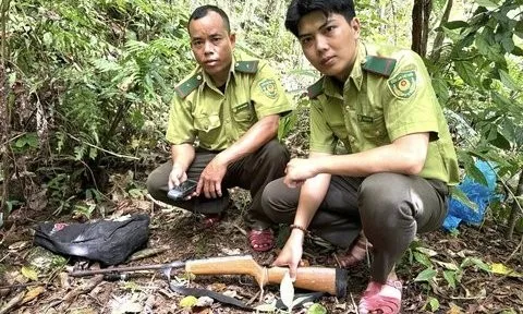 Thấy cán bộ kiểm lâm đi tuần, 2 đối tượng vứt lại súng săn bỏ trốn