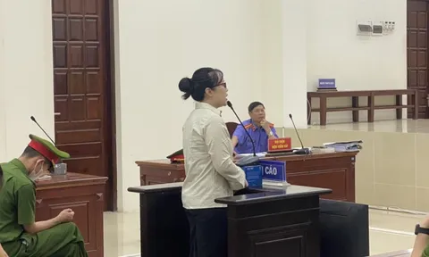 Vụ “hot girl” 9x lừa bán hàng hiệu ở Bắc Giang: Bị cáo có đơn tố cáo tại tòa
