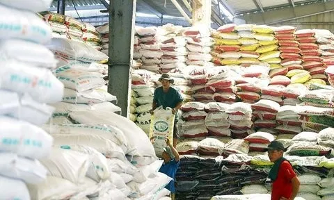 Xuất khẩu phân bón tăng 11,7% về lượng so với cùng kỳ