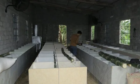 Anh nông dân 9X lãi 400 triệu/năm nhờ nuôi con “gặm nhấm siêu hạng"