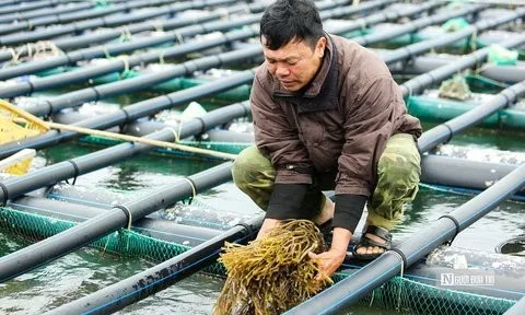 Khai thác thủy sản phù hợp với tiềm năng nguồn lợi, bảo vệ môi trường