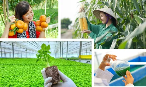 Chỉ đạo, điều hành của Chính phủ, Thủ tướng Chính phủ nổi bật tháng 5/2024