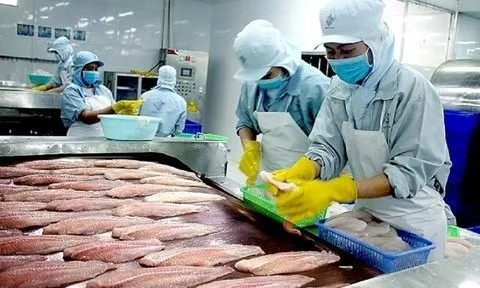 Xuất khẩu thủy sản 5 tháng đạt 3,6 tỷ USD: Kỳ vọng tăng tốc cuối năm