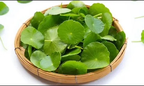 Ăn 1 mớ rau này tốt ngang thịt, xưa gọi "rau nhà nghèo" nay lên tầm "nhân sâm" vạn người thích