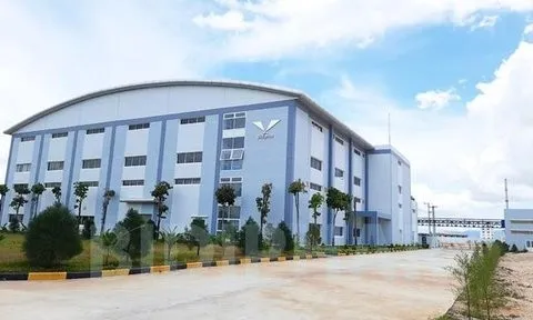 Bidiphar sắp phát hành gần 19 triệu cổ phiếu trả cổ tức