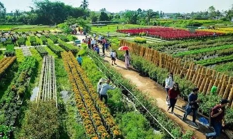 Để du lịch nông nghiệp, nông thôn “cất cánh”