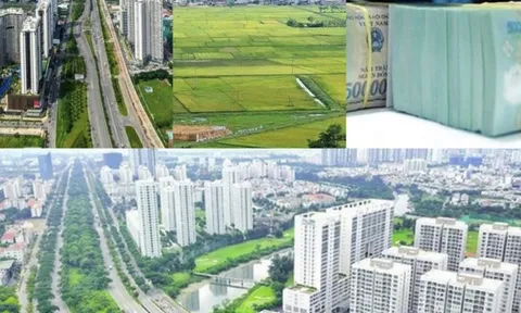 Chính phủ thông qua đề nghị xây dựng Luật sửa đổi, bổ sung một số điều của các luật Đất đai, Nhà ở, Kinh doanh bất động sản, Các tổ chức tín dụng