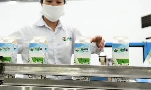 Vợ lãnh đạo Mộc Châu Milk bán cổ phiếu để thu xếp tài chính
